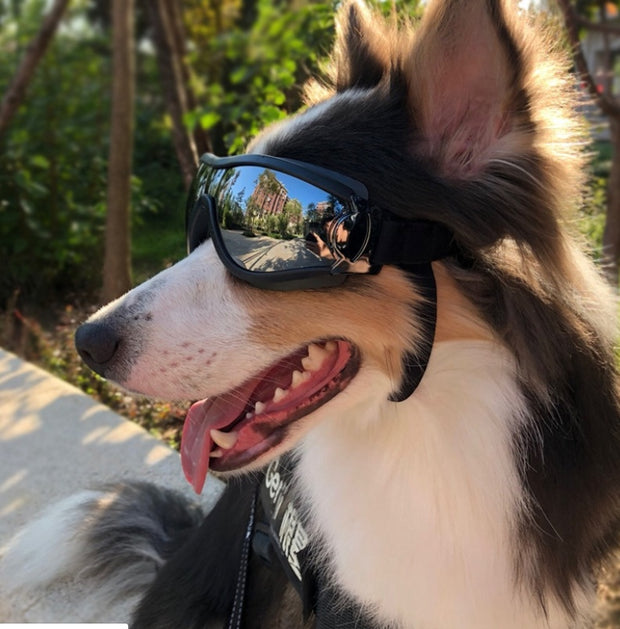 Windproof Dog Goggles