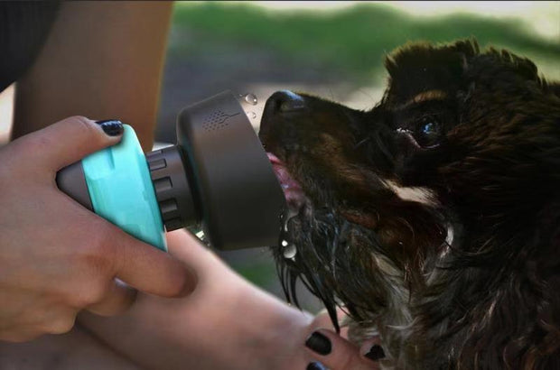 Foldable Bottle Dog Travel Water Bottle